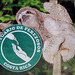 Sloth Sanctuary, Cahuita, Costa Rica 21APR12