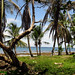 View from the bus stop in  Puerto Viejo, Costa Rica 08MAY12